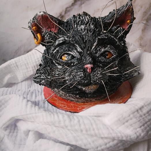Торт кот