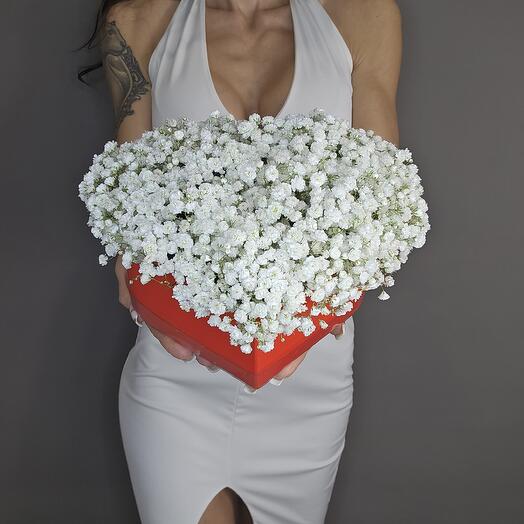 Коллекция "Love is" ️ "История любви" из гипсофилы