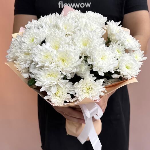 Хризантема пушистая