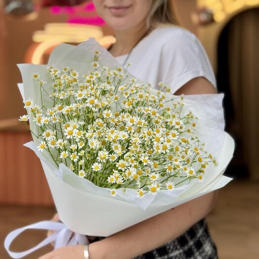 Моно из пушистых летних ромашек