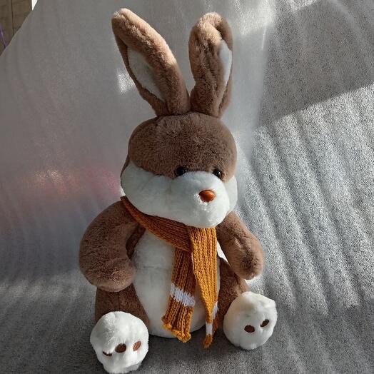 Заяц Эдуард