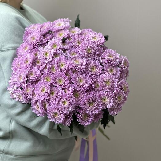 Букет из 9 сиреневых хризантем