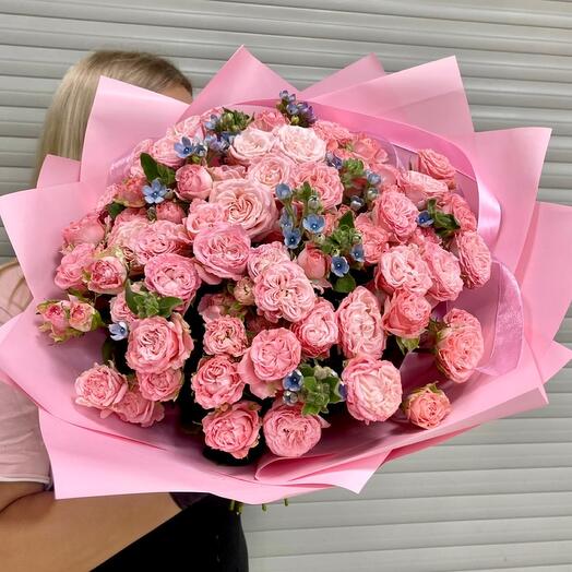 Rosa de arbusto De peonía Bombastic 🌸