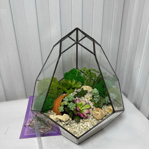 Флорариум с эксклюзивными суккулентами