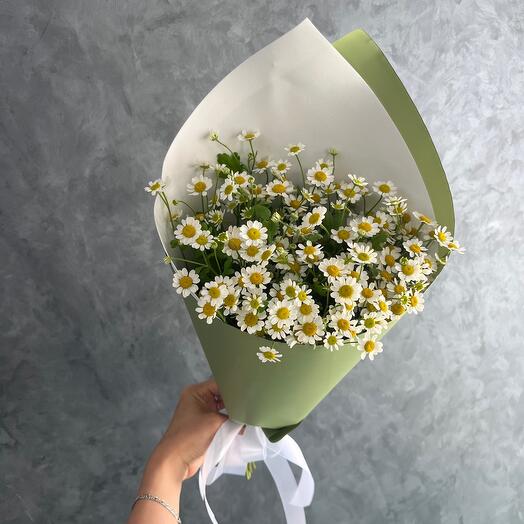 Ромашки полевые 💚