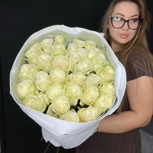 31 Роза Эквадор «Мондиаль»