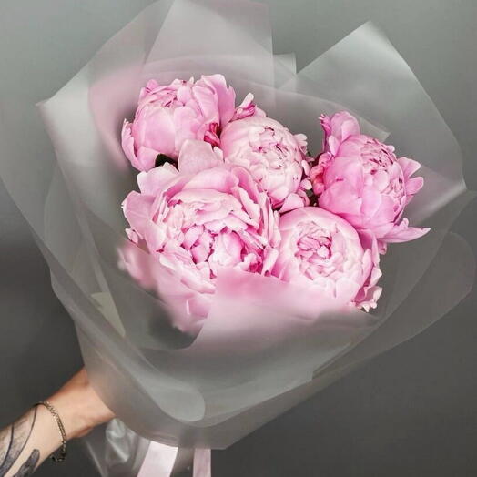 5 Sarah Bernardt Peony
