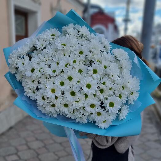 Букет из 25 Хризантем 🤍