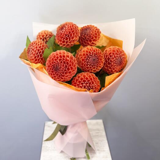 Orange dahlias