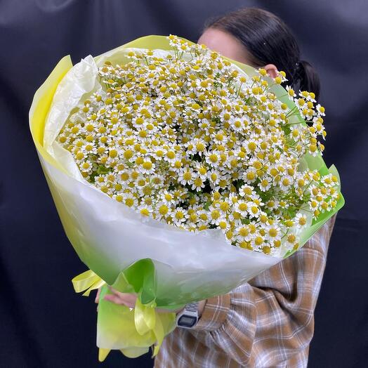 Букет мелких ромашек