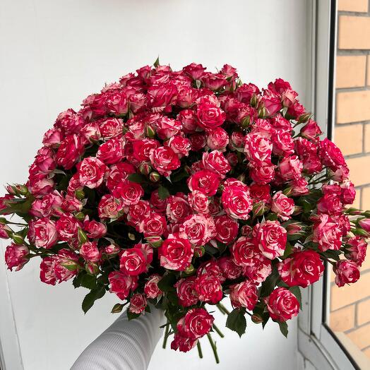 Кустовые розы двухцветные