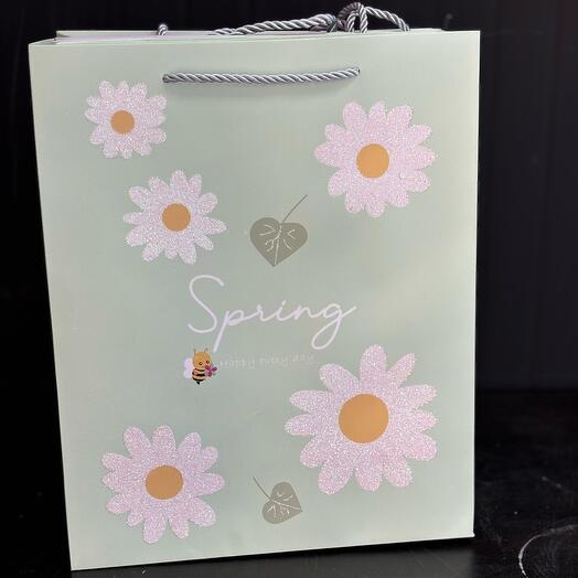 Пакет подарочный светло зеленый