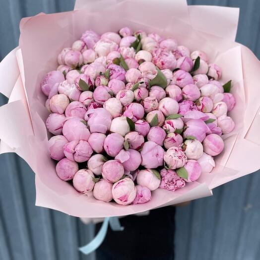 101 розовый пион