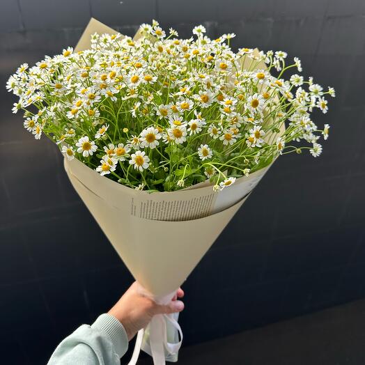 Букет Ромашек