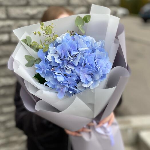 Голубая гортензия в оформлении💙
