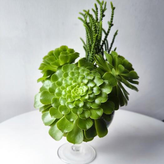 Флорариум Бокал подарок маме, девушке