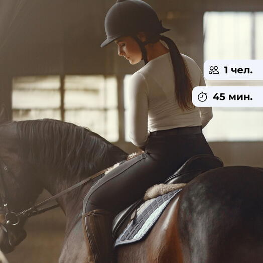 Будущий жокей. Урок верховой езды