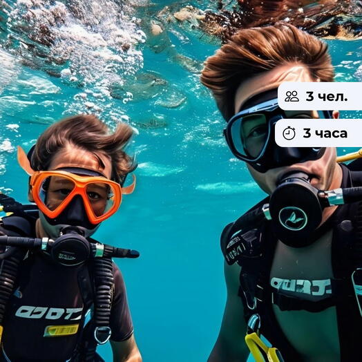 Подводный мир.  Дайвинг-погружение в бассейне