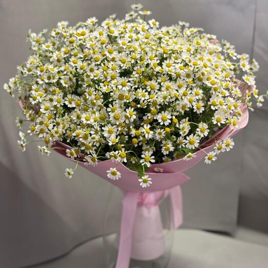 Нежное облако ромашек🤍Букет из Кустовой ромашки🌸Дофаминовый Букет🤍