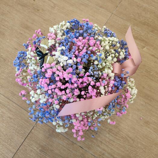 Каробка с радужной гипсофилой