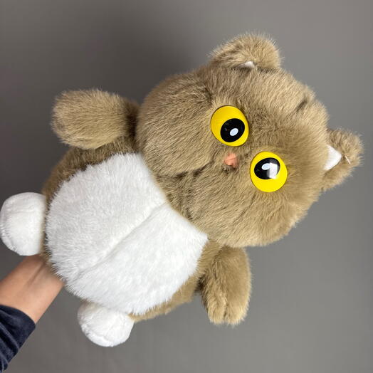 Кот с круглыми глазами 30 см
