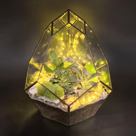 Флорариум с гирляндой Золотой сувенир LUX 60023M