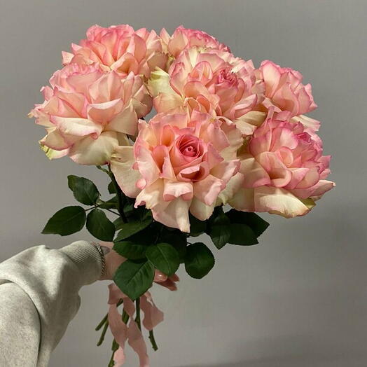 Французская роза 🌹🌹🌹🌹🌹🌹🌹