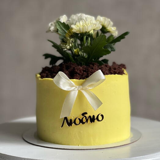 Бенто XXL торт «Цветочный горшочек» Маме, люблю
