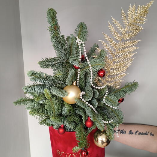 Новогодняя сказка