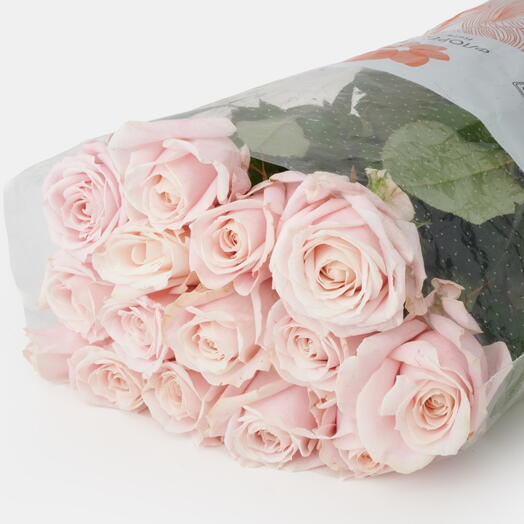 Пачка роз (15 штук) Свит Аваланш, 50 см