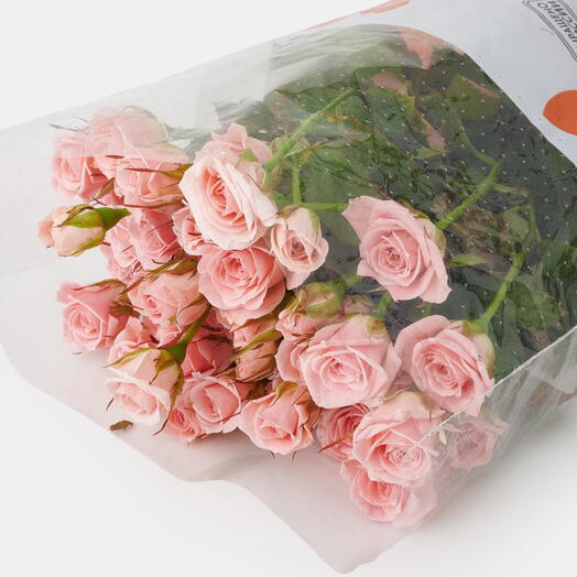 Пачка роз (10 штук) Одилия, 50 см