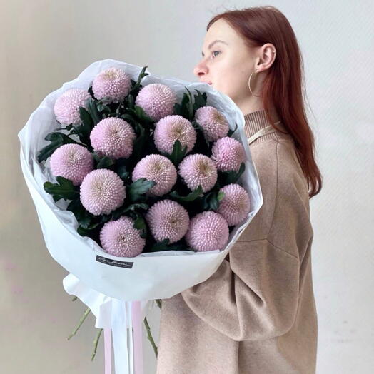 15 розовых хризантем сорт Мамокко