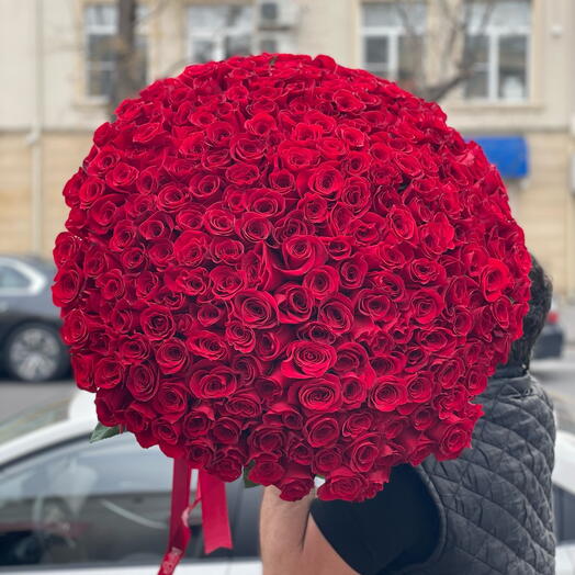 251 роз️‍🔥