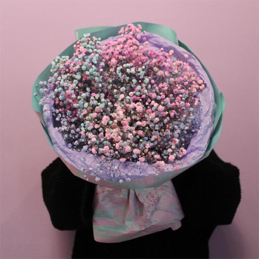 Ramo de Gypsophila multicolor