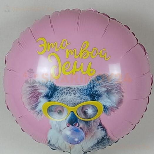 Шар Это твой день