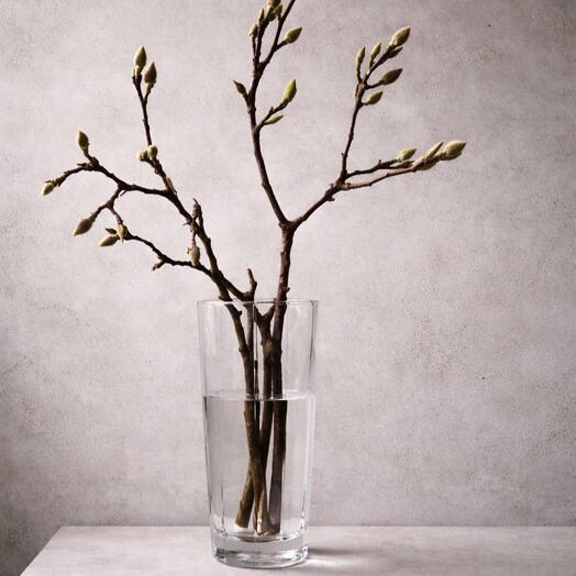 Ветка магнолии «Elegance»