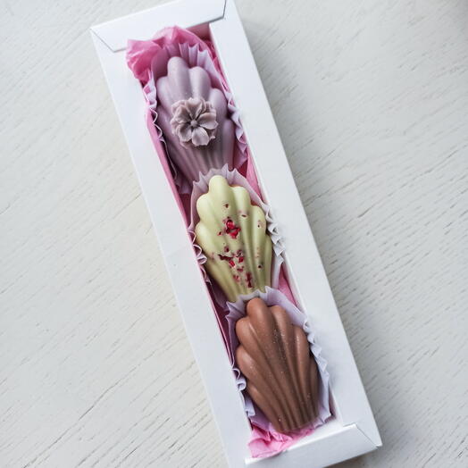 Мадлен весенние🌷