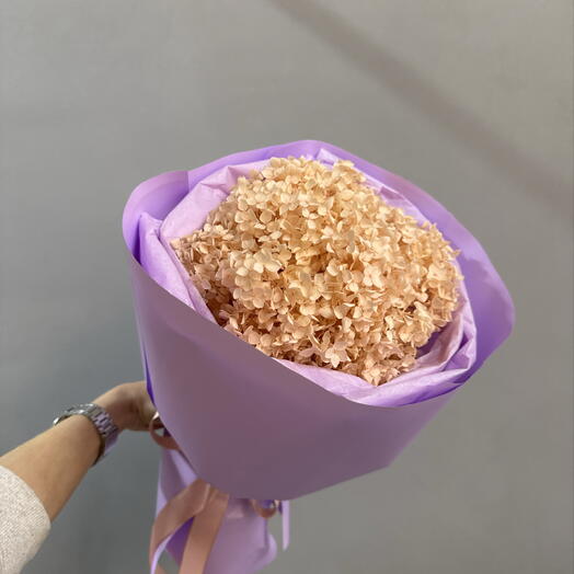 Гортензия стабилизированная Персиковая 🧡