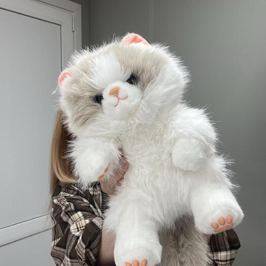 Кот белый