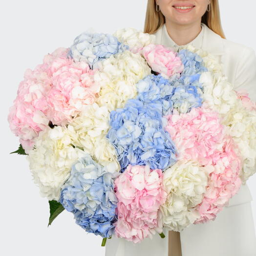 Букет из 21 гортензии🌼🌼