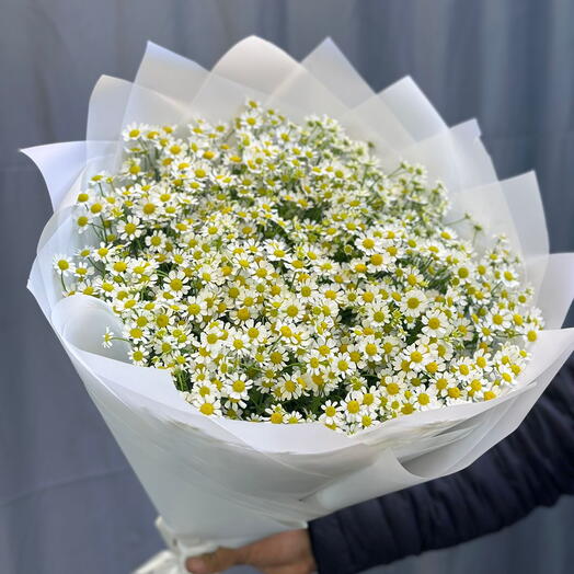 БУКЕТ ИЗ 25 АРОМАТНЫХ РОМАШЕК