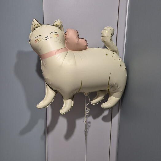 Кошечка 🐱