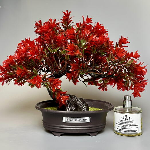 Аромадерево Pawns Collection для дома Bonsai Dragon из фибрового волокна для ароматизации