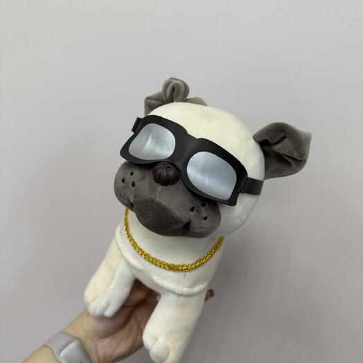 Мопс брутал😎