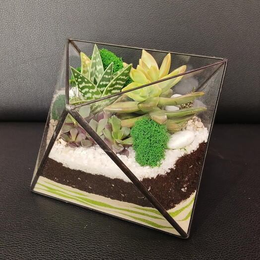 Florarium "Rhombic"
