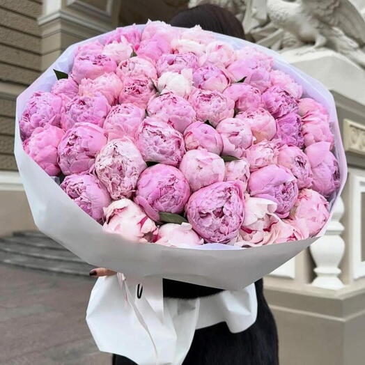 🌸🌸🌸 Букет из 51 пиона Пионы Sara Bernard