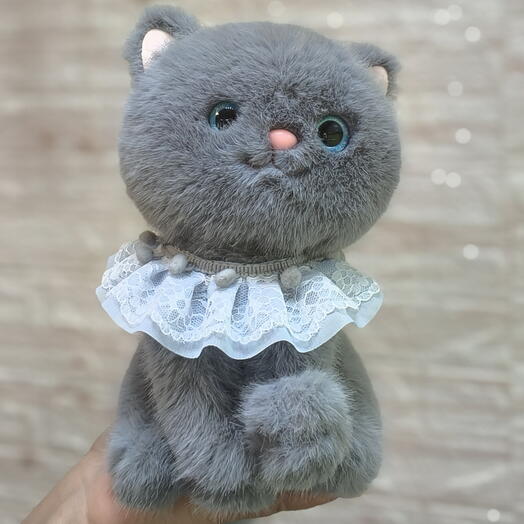 Серый котёнок