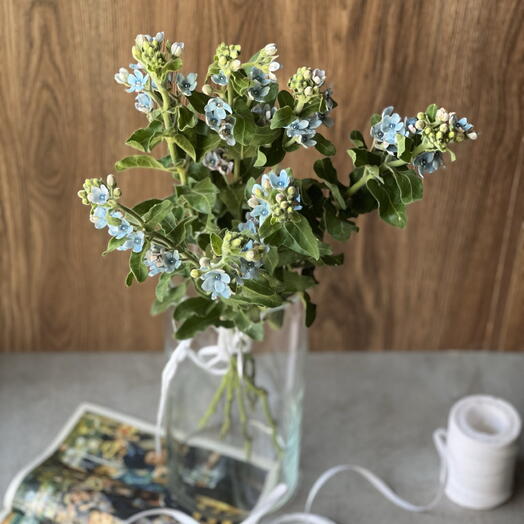 Незабудки💙