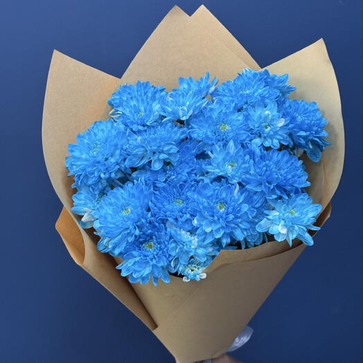 5 blue chrysanthemums
