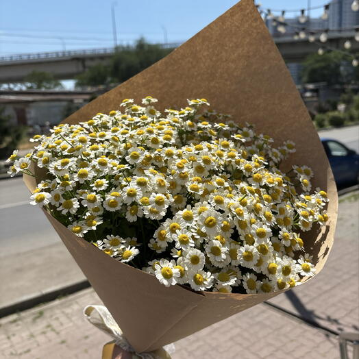 Букет полевых ромашек